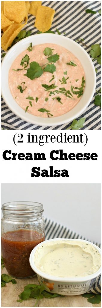 2 ingredient Cream Cheese Salsa appetizer condiment with chps and salsa easy recipe serve with all Mexican food