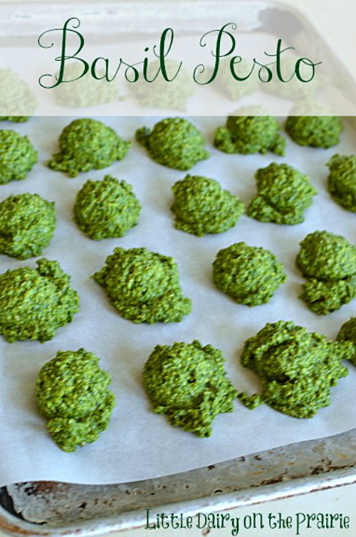 Cookie Scoops of basil pesto on a parchment lined cookie sheet