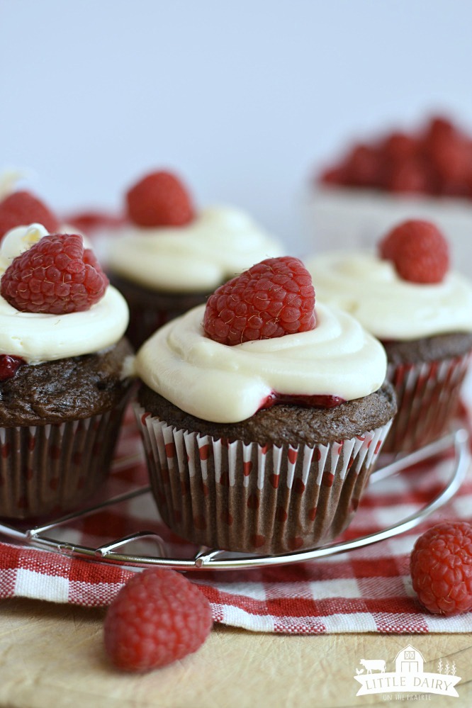 chocolate cupcakes with cream cheese frosting piped on top and a fresh raspberry