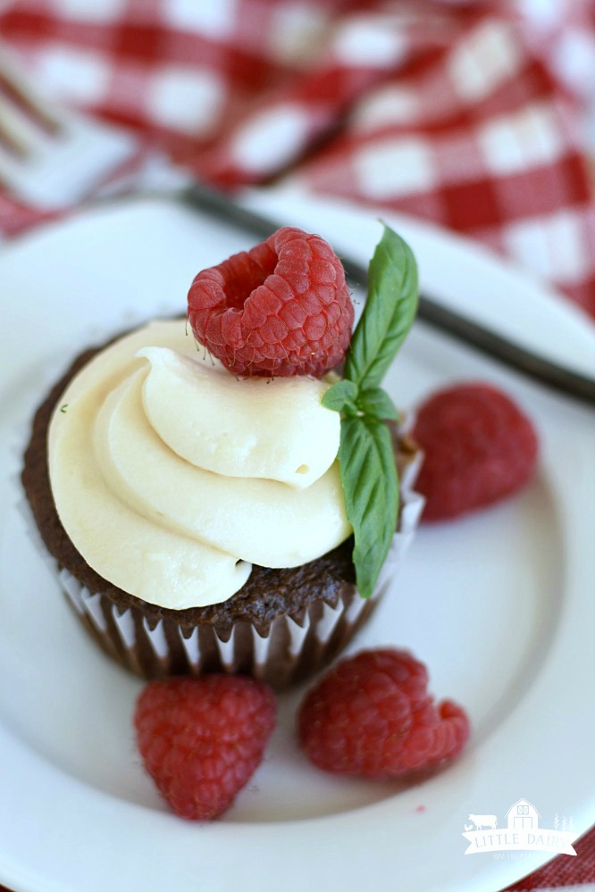 Top view of a chocolate cupcakes with cream cheese frosting piped on top and a fresh raspberry