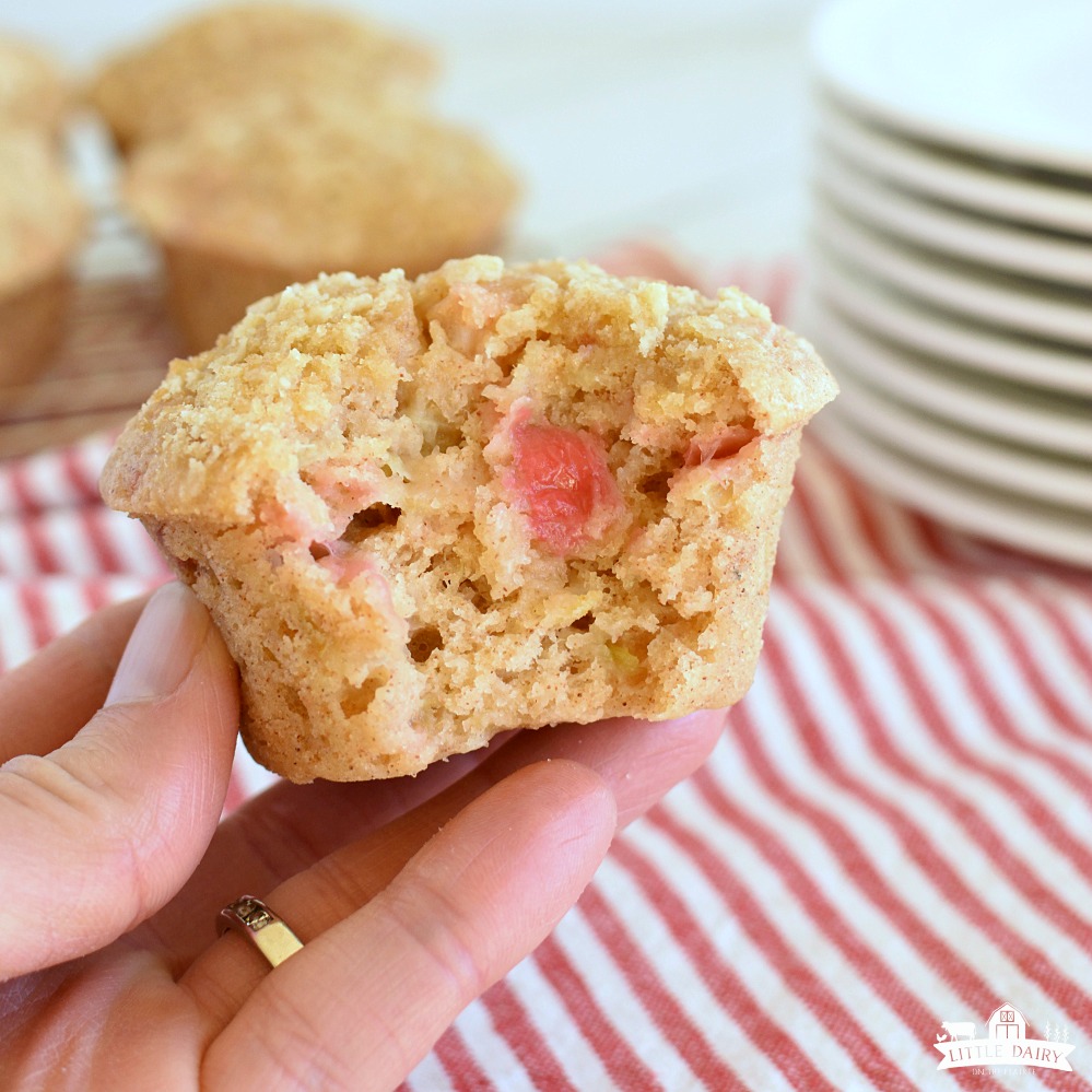 Rhubarb Cinnamon Streusel Muffins - featured image
