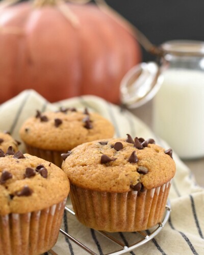 Baked Pumpkin Zucchini Chocolate Chip Muffins on a cooling rack