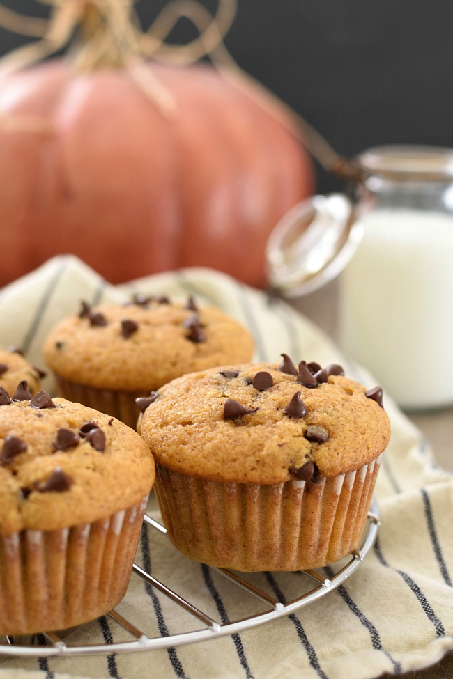 Baked Pumpkin Zucchini Chocolate Chip Muffins on a cooling rack