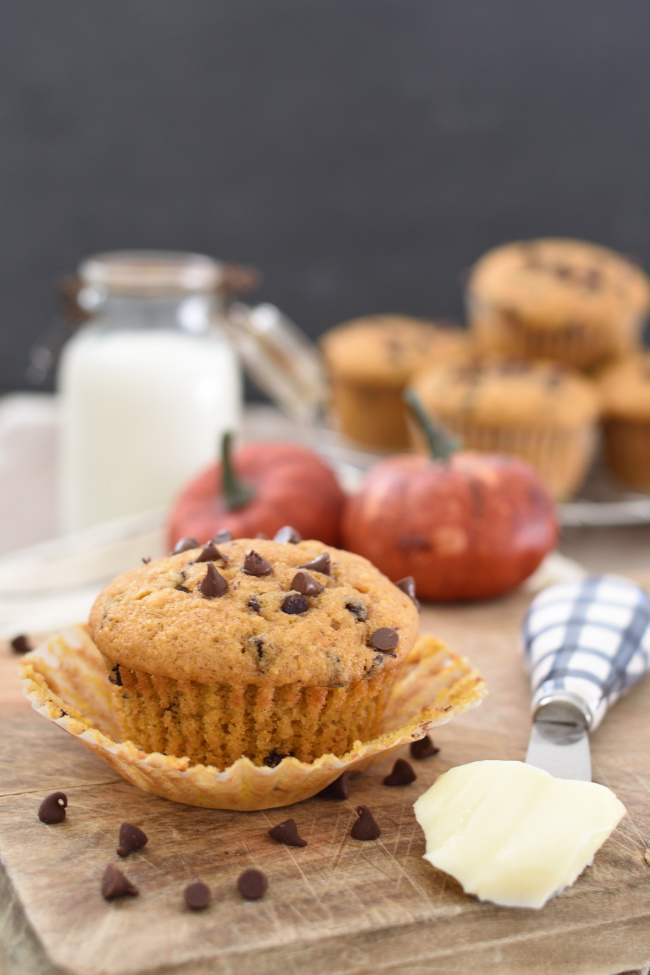 pumpkin zucchini chocolate chip muffin on a muffin liner