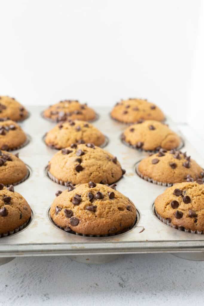 Chocolate chip pumpkin muffins with zucchini in a muffin tin.