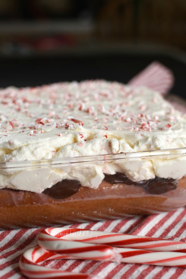 white cake mix in a glass pan with a chocolate layer and whipped topping, sprinkled with crushed candy canes