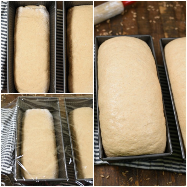 a collage of steps for rising bread 