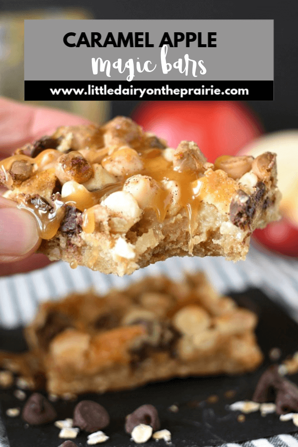 a magic bar with oatmeal topped with chocolate chips, drizzled with sweetened condensed milk and caramel. littledairyontheprairie