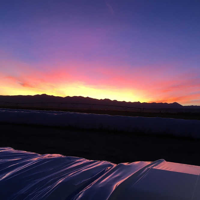a beautiful sunset with orange, yellow, and purple over the top of a silage bag, with mountains at the horizon