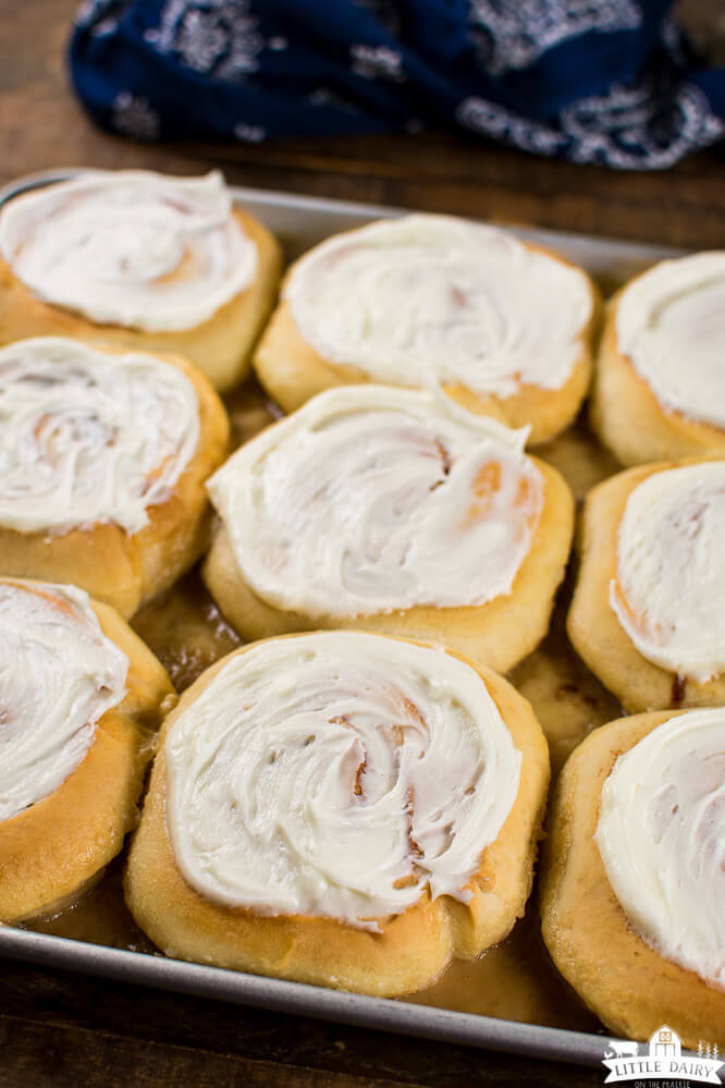 a pan with cinnamon rolls with cream cheese icing