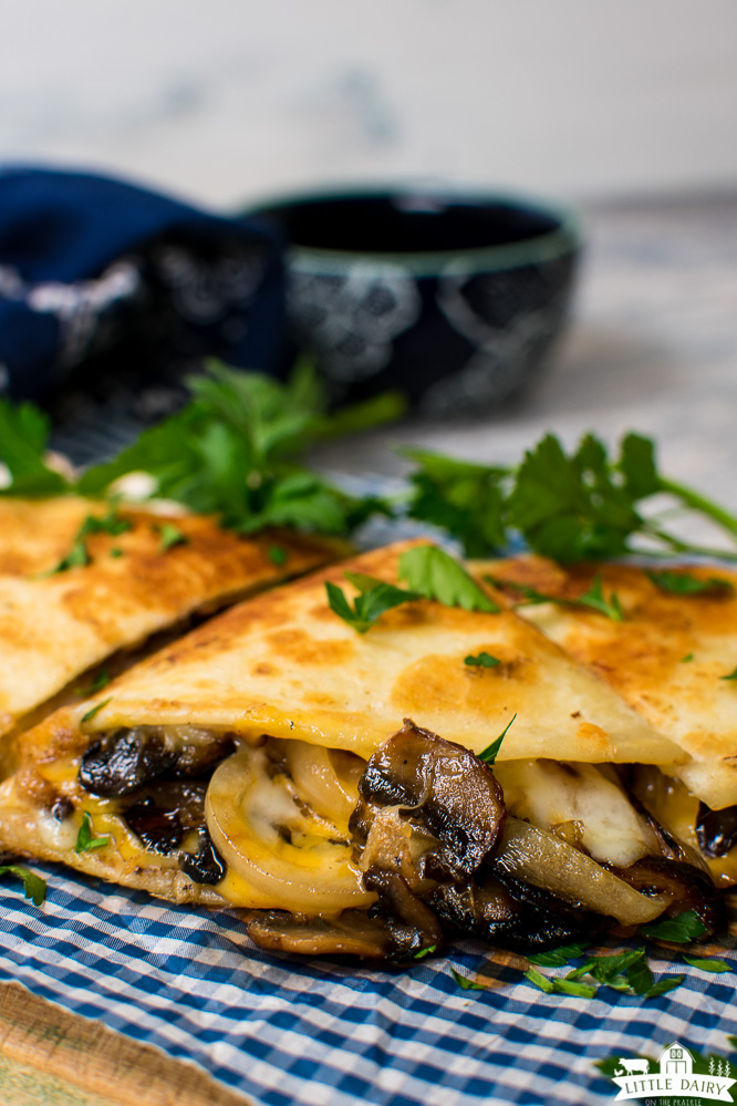 fried quesadilla with melted cheddar cheese and cooked mushrooms and onions