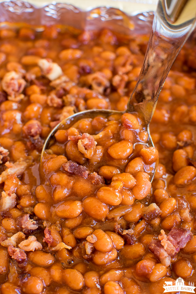 a ladle of smoked baked beans