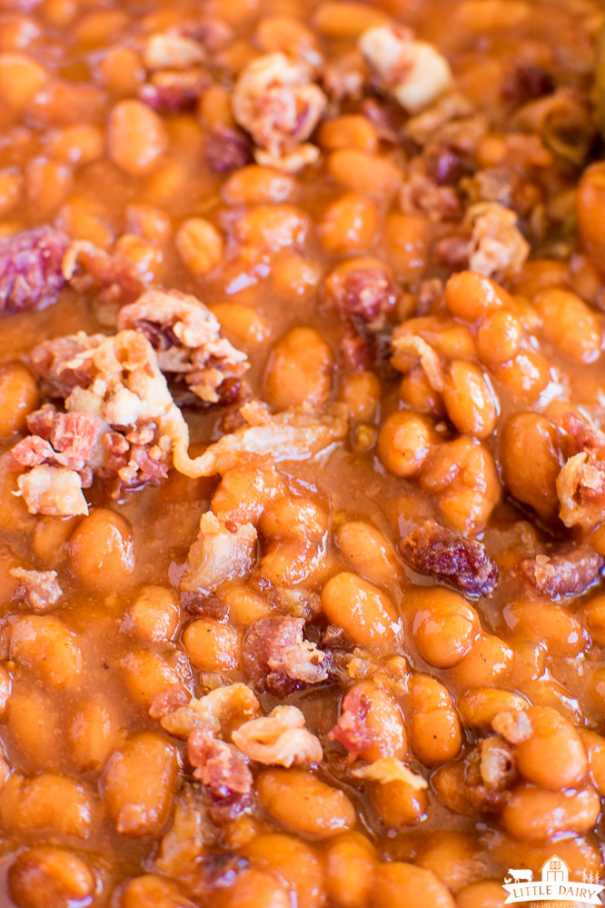 baked beans in thick sauce with fried bacon crumbles