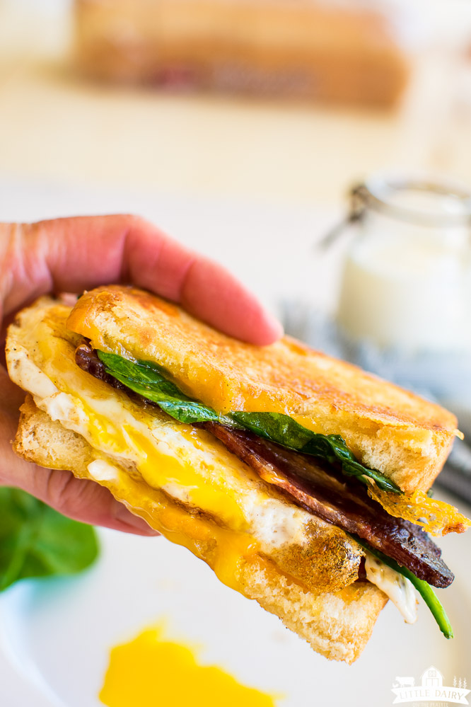 a hand holding half a fried egg sandwich on white toast, and has spinach and bacon