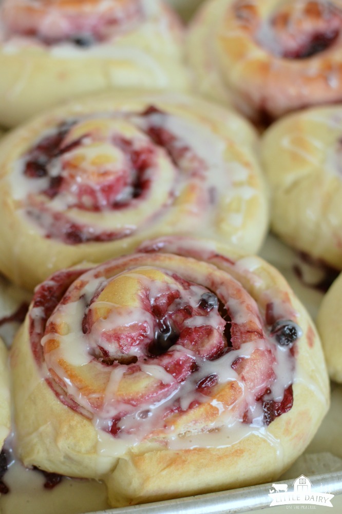 a pan with baked blueberry sweet rolls and icing