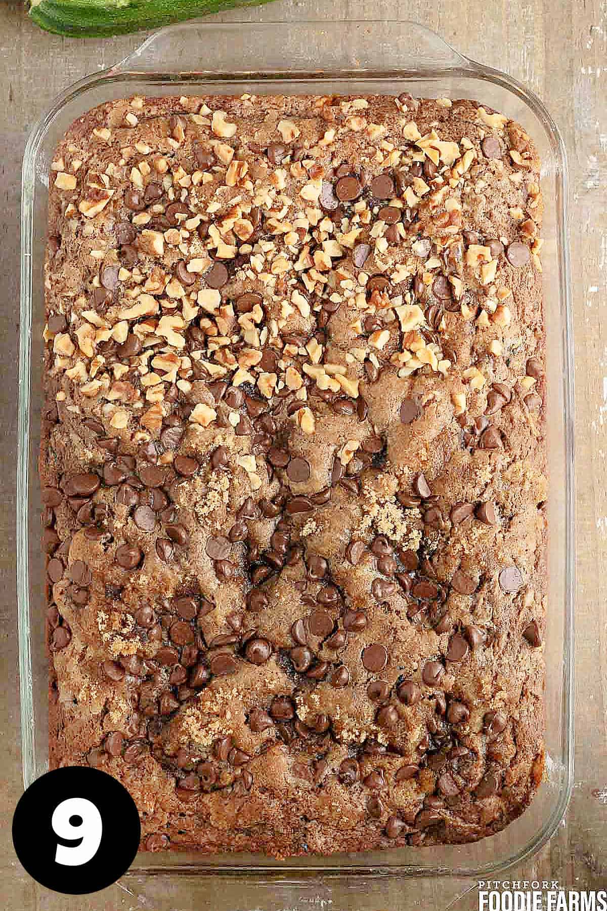 A baked chocolate cake with walnuts and chocolate chips on top.