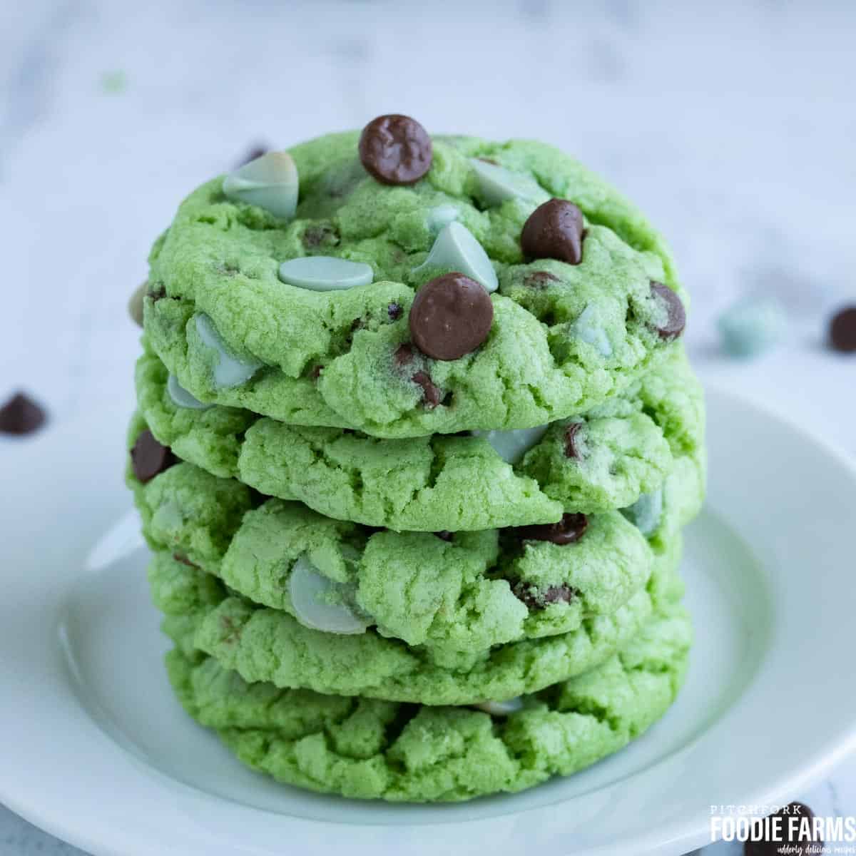 Mint Chip