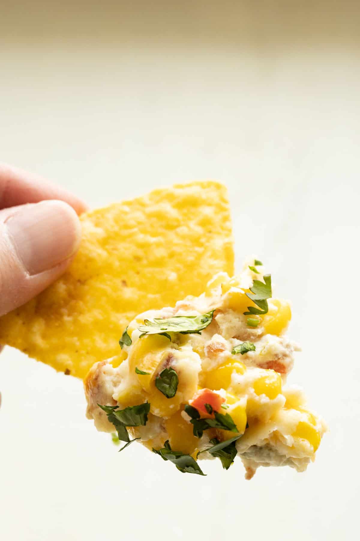 A tortilla chip with corn dip on it.