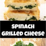 Images of a grilled cheese sandwich with gooey mozzarella cheese and fresh spinach.