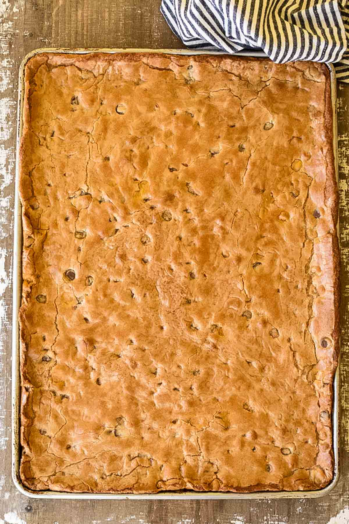 Baked golden brown bar cookies in a sheet pan.