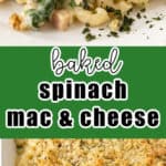 Images of macaroni and cheese with spinach and diced ham.