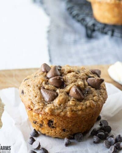 A banana muffin with chocolate chips on top.