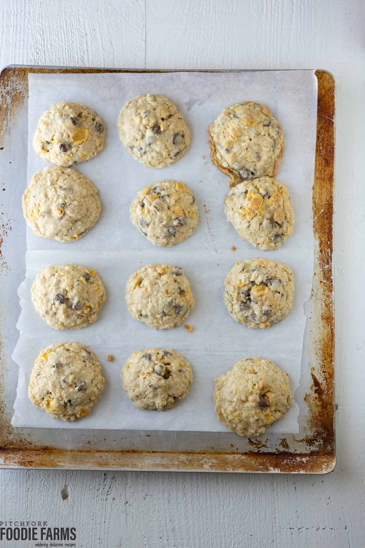 Baked ranger cookies on a baking sheet.