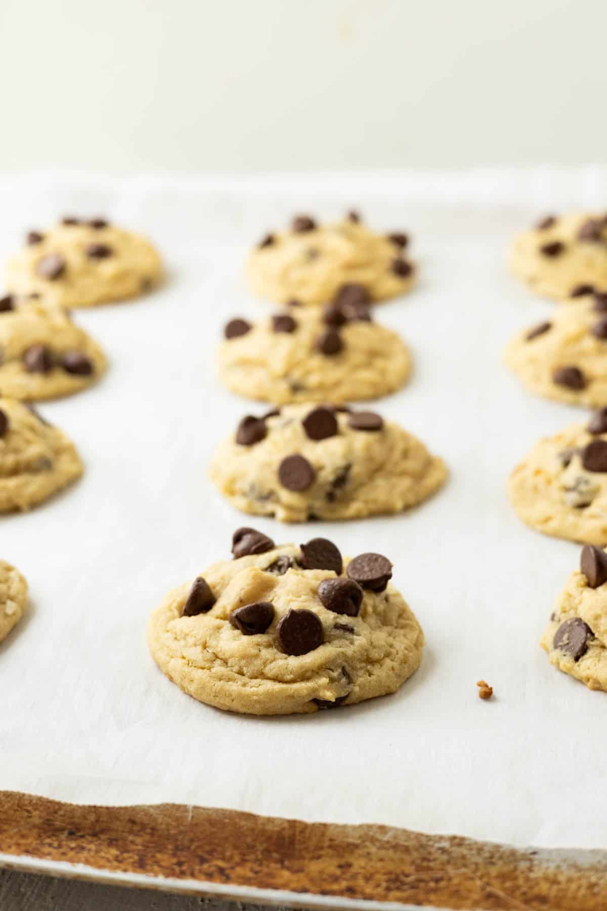 Coconut chocolate chip cookies on a baking sheet.
