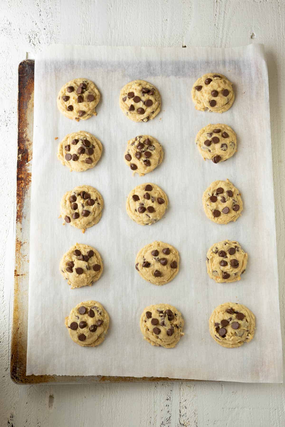 Baked chocolate chip and coconut cookies on cookie sheet.